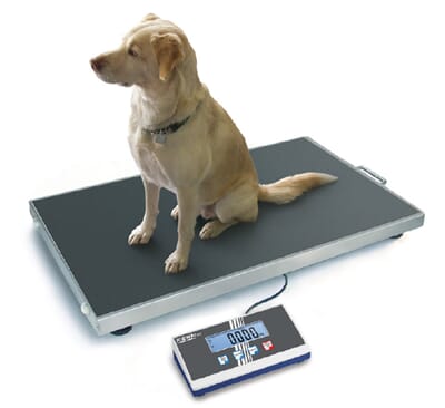 EOS EOS Veterinærvekt_1.jpg